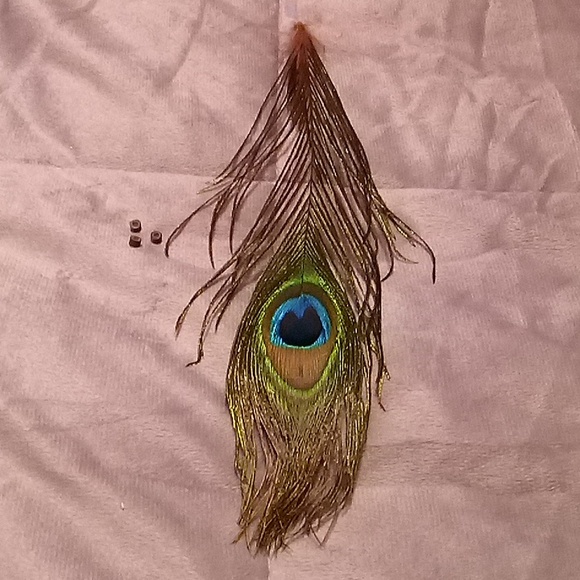 Accessories - Hair Statement Peacock Feather!